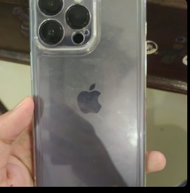 The new iPhone in a clear case